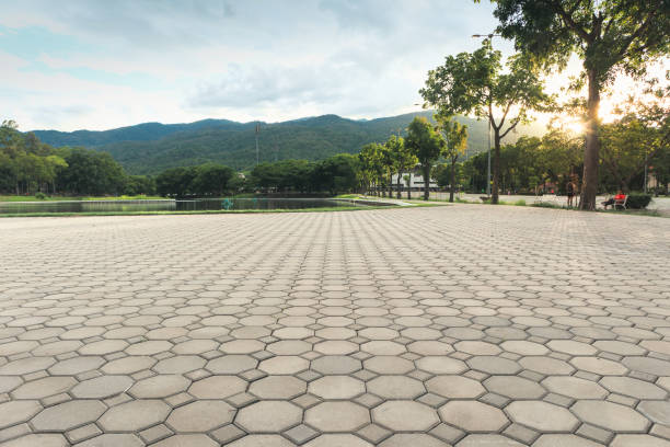 Best Driveway Pavers Near Me  in Bishopville, SC